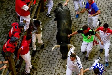 Corsa dei tori a Valencia, un uomo muore dopo essere stato incornato