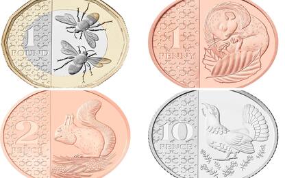 Regno Unito, le monete di Re Carlo dedicate alla flora e alla fauna