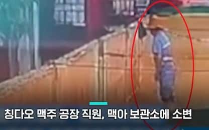 Cina, spunta video di operaio che urina in serbatoio birra Tsingtao