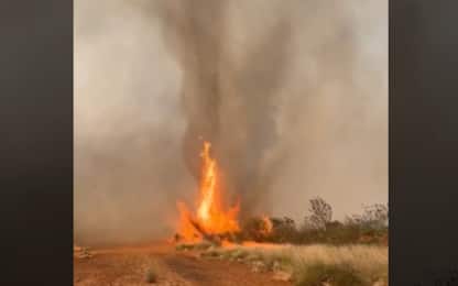 Incendi Australia, il video di un raro tornado di fuoco: il fenomeno