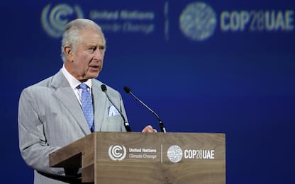 Cop28, Re Carlo: "Prego che sia punto di svolta"