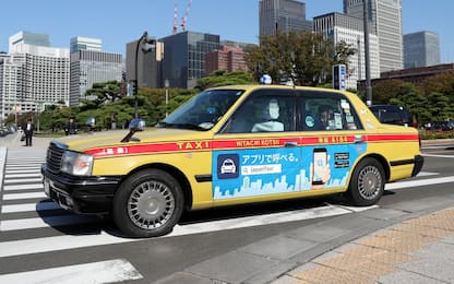 Tokyo, tassista arrestato per aver investito e ucciso un piccione