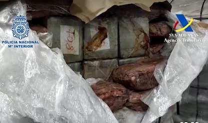 Spagna, sequestrate 7,5 tonnellate di cocaina nascosta nel tonno