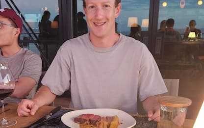 Mark Zuckerberg investe nell'allevamento di bovini