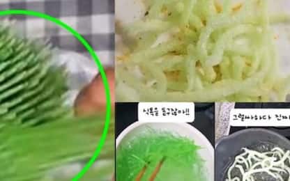 Corea, il trend è mangiare stuzzicadenti fritti: stop del Ministero
