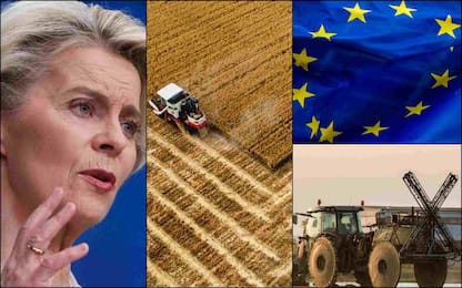 Pesticidi, dietrofront dell'Ue: cosa cambia