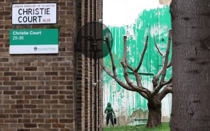 Banksy torna con un nuovo murales "ecologista" a Londra