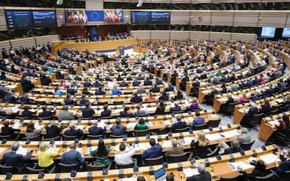Diritto all'aborto, l'Ue lo inserirà nella Carta fondamentale