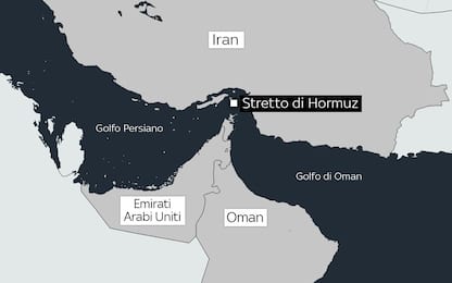 Iran sequestra nave israeliana in stretto Hormuz. LIVE