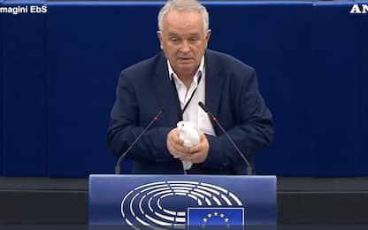 Strasburgo, eurodeputato libera colomba in aula come messaggio di pace