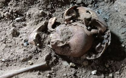 Trovati 5 scheletri umani senza arti vicino a casa del nazista Göring
