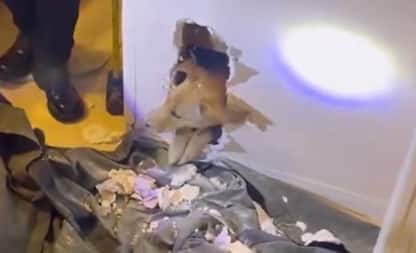Usa, il salvataggio di un cucciolo di cane incastrato nel muro. VIDEO