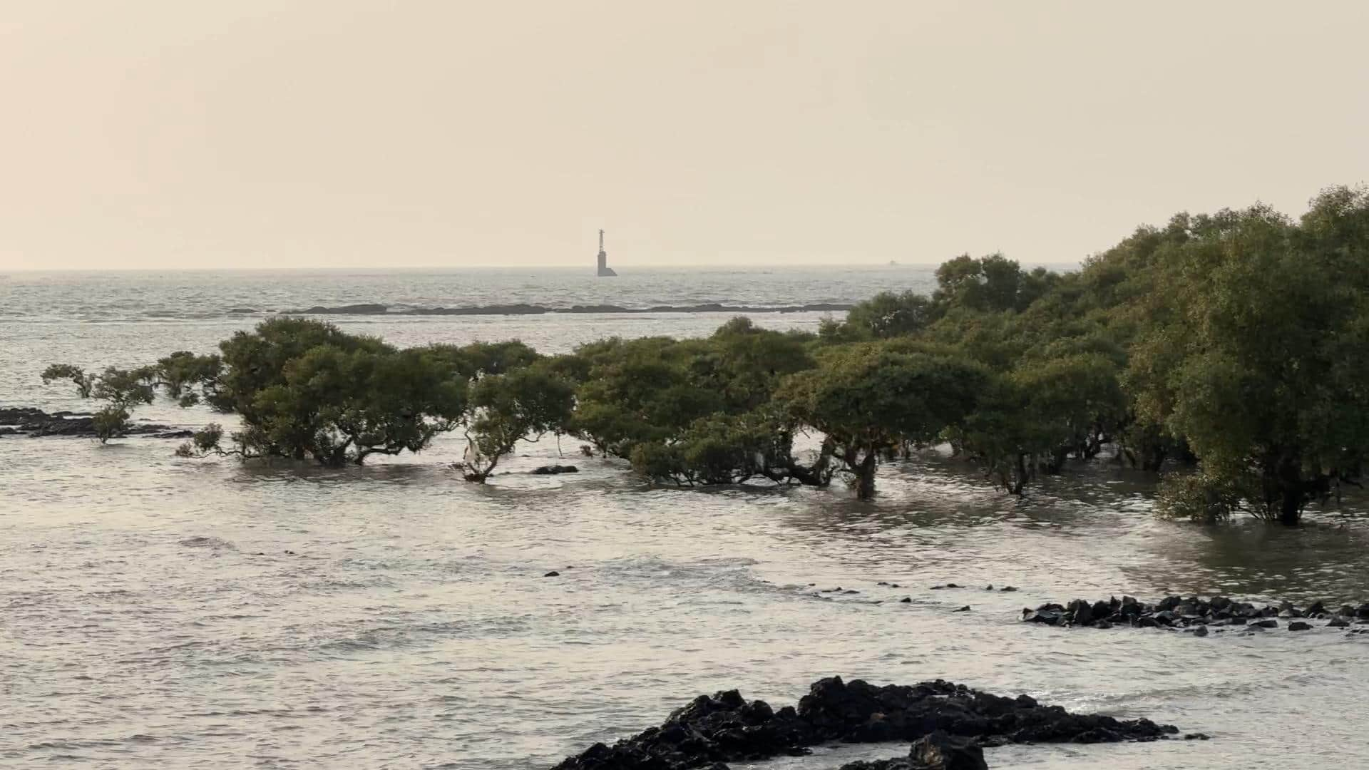 Foto di Jacopo Arbarello