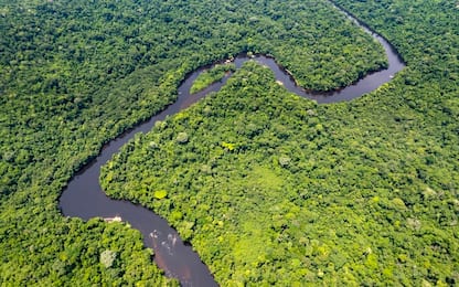 Elon Musk porta internet alla tribù Marubo in Amazzonia: "Uno shock"