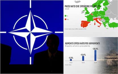Nato, sempre più Paesi investono il 2% del Pil in spese militari. DATI