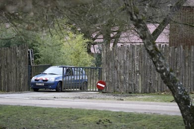 Francia, donna aggredita da lupi in uno zoo: è in gravi condizioni