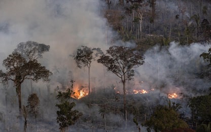 Brasile, in Amazzonia maggior numero di incendi degli ultimi 20 anni