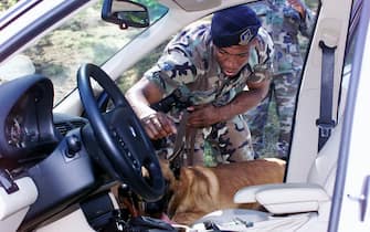 394320 04: A security guard uses a dog to search a car September 11, 2001 at Andrews AFB, Maryland. Security has been increased after a terrorist attack on the Pentagon and the World Trade Center in New York City. (U.S. Air Force Photo by MSgt. Raul Navas via Getty Images)