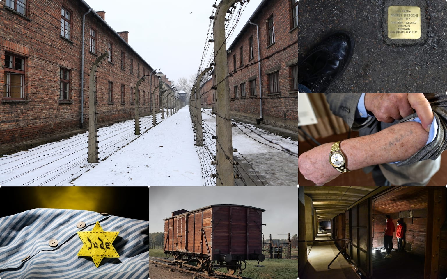 Il campo di concentramento e sterminio di Auschwitz: la storia | Sky TG24