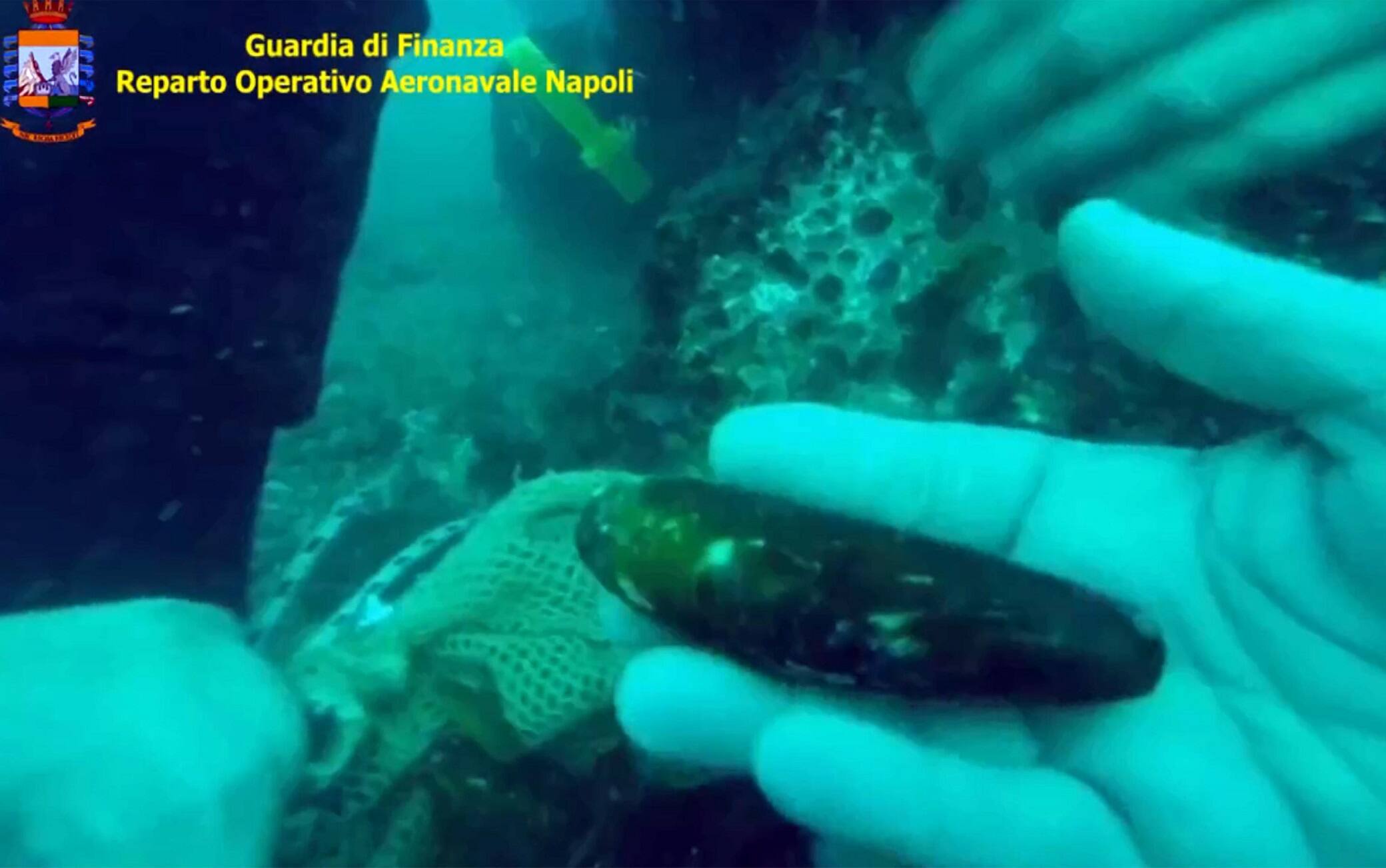 Un fermo immagine tratto da un video dell'operazione della guardia di finanza di Napoli