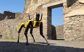 Il robot quadrupede in funzione a Pompei.
ANSA/ UFFICIO STAMPA
+++ ANSA PROVIDES ACCESS TO THIS HANDOUT PHOTO TO BE USED SOLELY TO ILLUSTRATE NEWS REPORTING OR COMMENTARY ON THE FACTS OR EVENTS DEPICTED IN THIS IMAGE; NO ARCHIVING; NO LICENSING +++