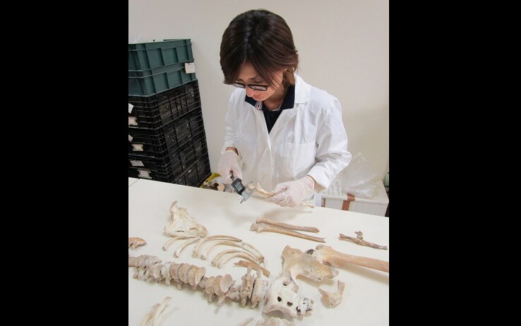 L'analisi delle ossa dell'uomo morto durante l'eruzione del Vesuvio