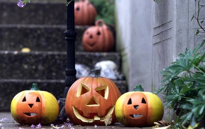 Lavoretti di Halloween per bambini, 5 idee facili e veloci