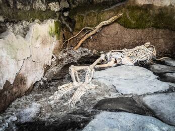 Pompei, scoperti nuovi resti di tre vittime: emersi anche affreschi