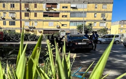Napoli, in corso blitz a Caivano: 250 agenti impiegati