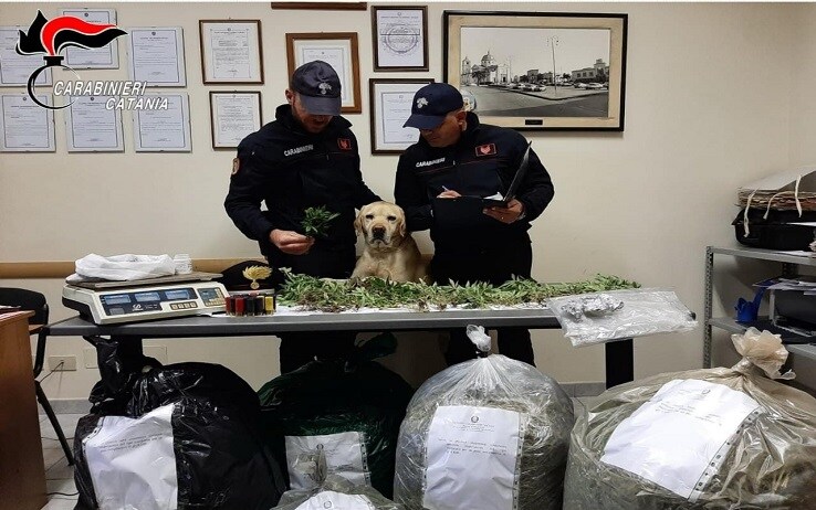 La droga rinvenuta dai carabinieri La droga rinvenuta dai carabinieri