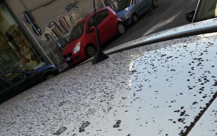La cenere sulle auto
