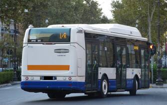Palermo, bus