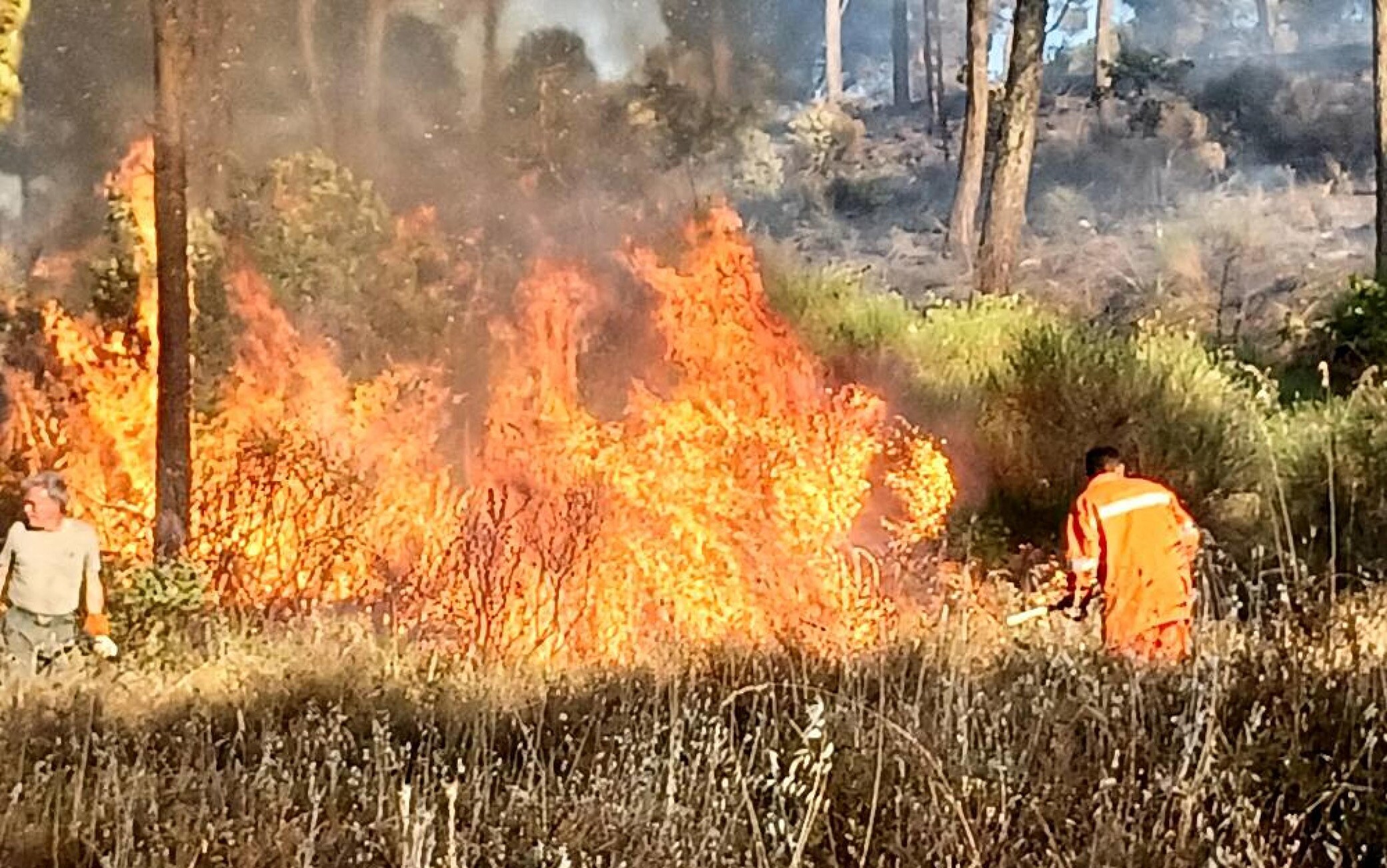Incendi:brucia da tre giorni vasta zona boschiva nell'Ennese "Sono rientrato da qualche ora dopo una giornata devastante. Diverse sono state le abitazioni salvate dalle fiamme alte (alle tante famiglie colpite da questo incubo va tutta la mia solidarietà per la tenacia con cui sono riusciti a rimanere "calmi", facendoci operare senza intralciare i soccorsi)
Tanti sono gli animali delle varie fattorie locali salvati dalle fiamme e dal fumo. Abbiamo veramente fatto il possibile per cercare di salvare tutto ciò che in quel momento era di priorità salvare: vite umane, case e animali. Ettari di polmone verde, di storia e di bellezza piazzese andati persi! Ciò che rimane è soltanto tanta stanchezza, tanta cenere, fumo e tantissima rabbia!", scrive l'esperto informatico di Enna Filippo Nicotra sul suo profilo Facebook, 01 agosto 2021. ANSA / Immagine tratta dal profilo Facebook di Filippo Nicotra +++ATTENZIONE LA FOTO NON PUO' ESSERE PUBBLICATA O RIPRODOTTA SENZA L'AUTORIZZAZIONE DELLA FONTE DI ORIGINE CUI SI RINVIA+++ +++NO SALES; NO ARCHIVE; EDITORIAL USE ONLY+++
