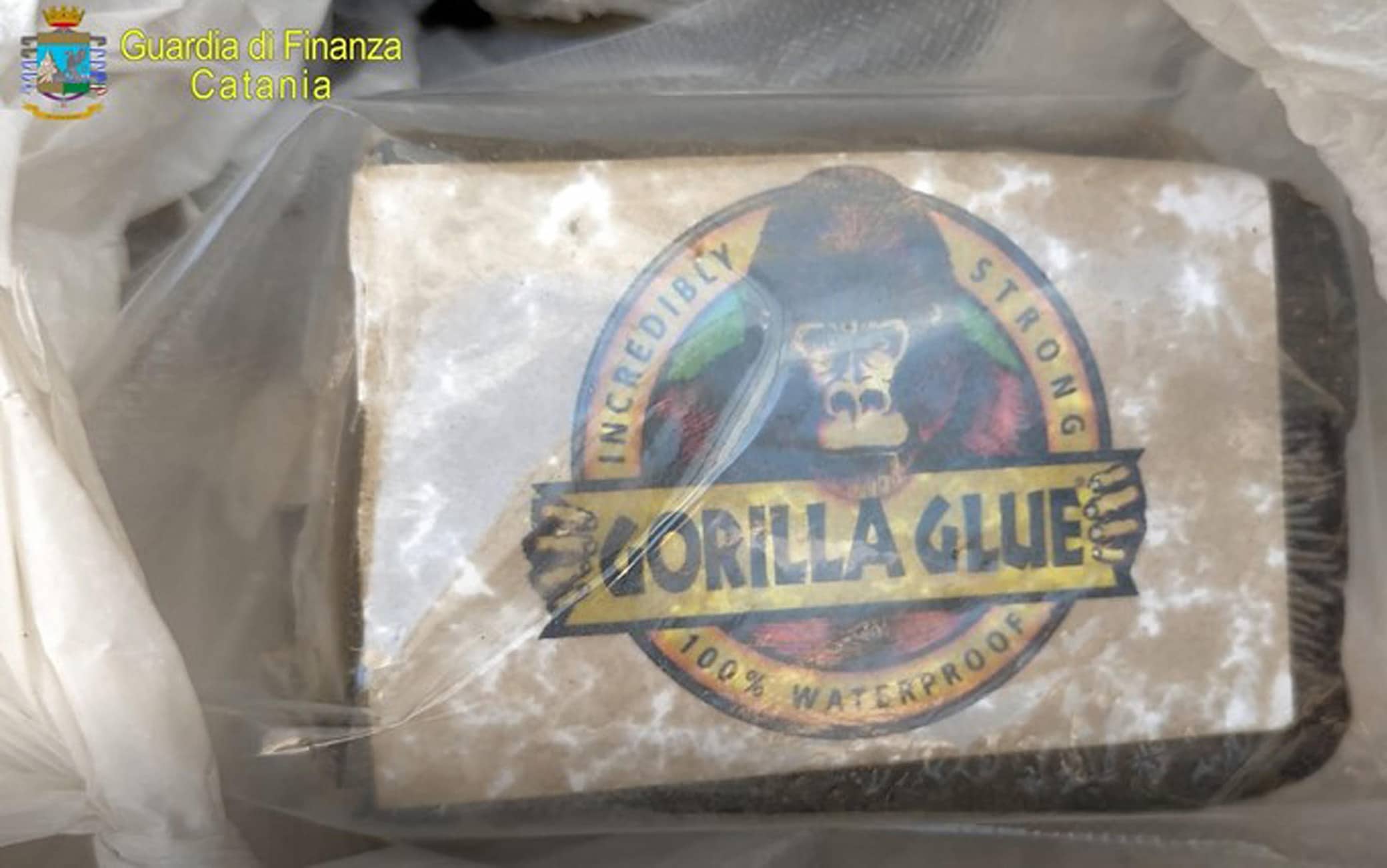 Settantuno chili tra marijuana, hashish e cocaina sono stati scoperti dalla Guardia di finanza durante un blitz nel cimitero di Giarre (Catania), 02 agosto 2021. Due le persone, entrambe originarie di Acireale, arrestate in flagranza di reato.
ANSA/ GUARDIA DI FINANZA
+++ ANSA PROVIDES ACCESS TO THIS HANDOUT PHOTO TO BE USED SOLELY TO ILLUSTRATE NEWS REPORTING OR COMMENTARY ON THE FACTS OR EVENTS DEPICTED IN THIS IMAGE; NO ARCHIVING; NO LICENSING +++