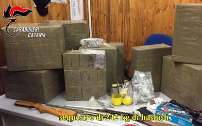 Catania, importavano droga dall'Albania e dall'Olanda: 12 arresti