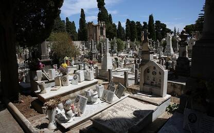 Palermo, riaperto cimitero dei Rotoli chiuso per rischio caduta alberi