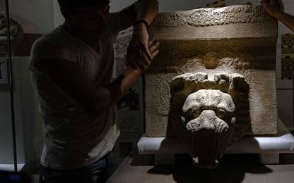 Selinunte, trovata preziosa testa di leone in marmo. FOTO