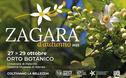 Palermo, all'Orto Botanico torna la Zagara d'autunno: il programma