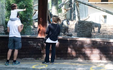 Famiglie al primo giorno di riapertura al pubblico del Bioparco con nuove modalità di accesso per garantire il rispetto del distanziamento sociale e della sicurezza., Roma, 29 maggio 2020. ANSA/CLAUDIO PERI