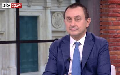 Ettore Rosato a Sky Tg24: "Se Conte vuole, crisi risolta in due ore"