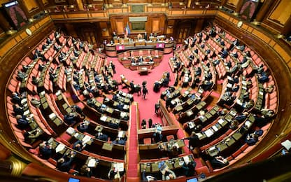 Ddl Zan: salvato da un voto, discussione in Senato riprende il 20