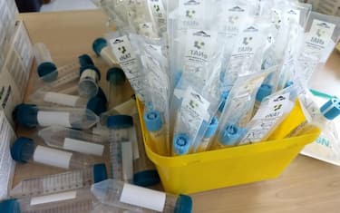 Covid, tamponi a prezzo calmierato ed esenzioni green pass: le novità
