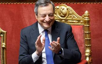 Draghi al Senato