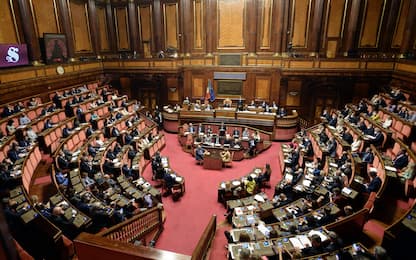 Autonomia differenziata, Ddl Calderoli oggi in discussione al Senato