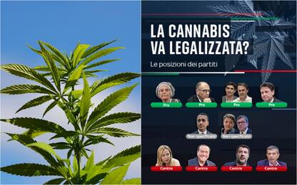 Cannabis, programmi elettorali a confronto: cosa ne pensano i partiti