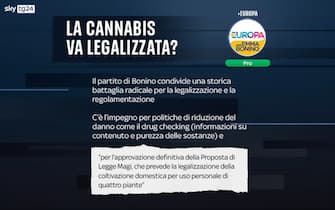 cannabis legale posizioni partiti +europa