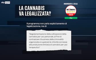 cannabis legale posizioni partiti M5s