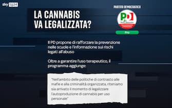 cannabis legale posizioni partiti pd