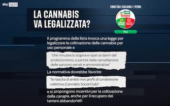 cannabis legale posizioni partiti sinistra italiana verdi