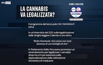 cannabis legale posizioni partiti azione italia viva